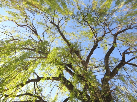 WALD WIRKT WUNDER - ...mal anders 2